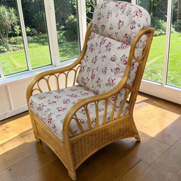 The Garden Marketplace Sorrento Cane Single Chair