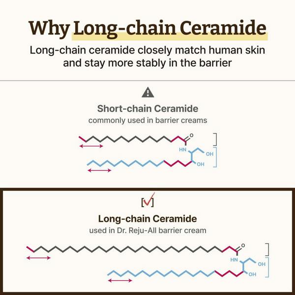 DR. REJU-ALL Advanced LC-Ceramide Barrier Cream 50ml