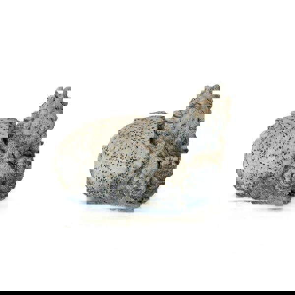 Small Stone Cast Triceratops Garden Sculpture Dinosaur Animal Statue