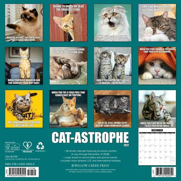 Cat-astrophe Calendar 2027, Wall Calendars, Month To View, Cats, Gift
