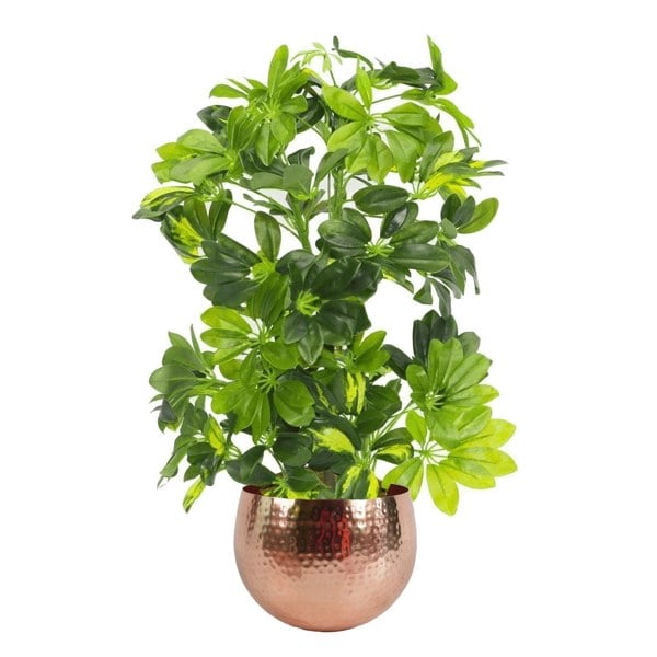 Leaf 75cm Artificial Arboricola Gold Capella Plant - Copper Metal Planter