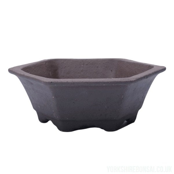 Unglazed Bonsai Pot Hexagonal | 18cm x 18cm x 5cm | YB1124 - Yorkshire Bonsai