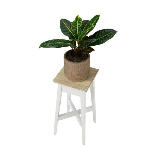 Statement Furniture Florence Wooden Plant Stand Plant Holder 50cm Tall ASSEMBLED