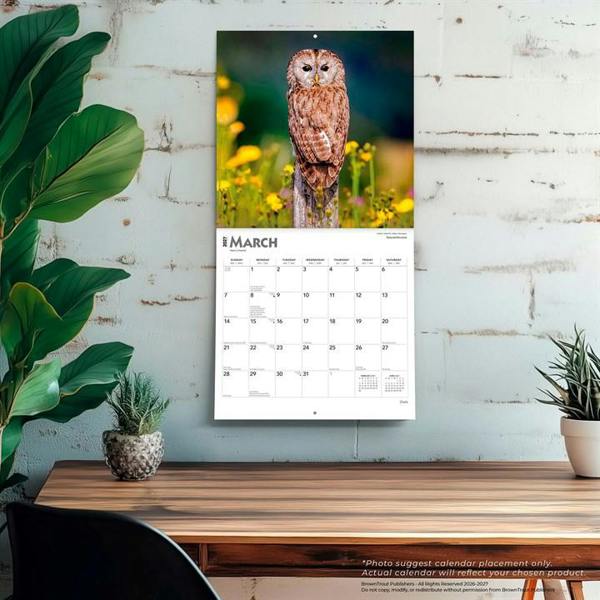 Owls Calendar 2027, Wall Calendars, Month To View, Animals, Gift