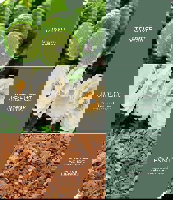 Heart & Home Cedarwood & White Musk - Large Bamboo Fragrance Diffuser