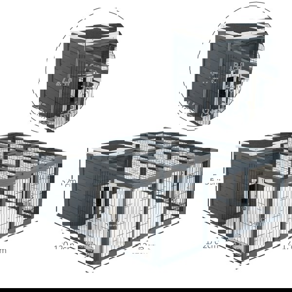 D51-194CG