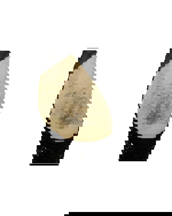155154477.jpg