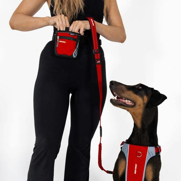 EzyDog SnakPak Training Treat Bag