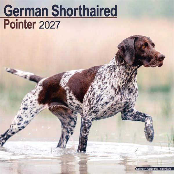 German Shorthaired Pointer Calendar 2027, Wall Calendars, Month To View, Dogs, Gift