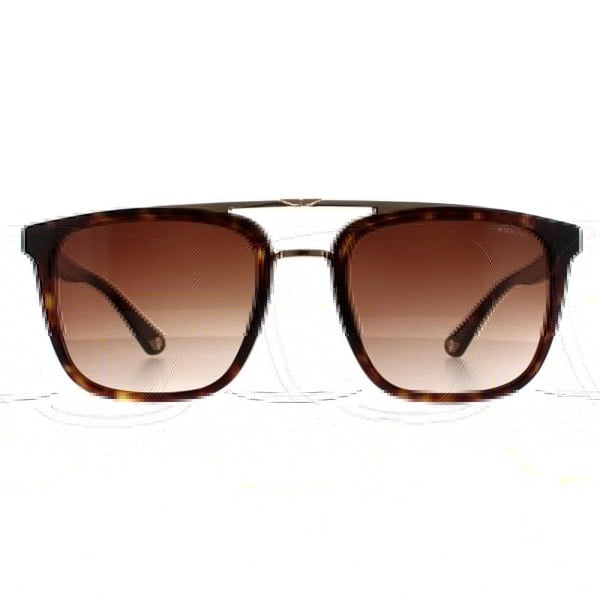 Police Sunglasses SPLB41 Origins 35 0722 Havana and Gold Brown Gradient