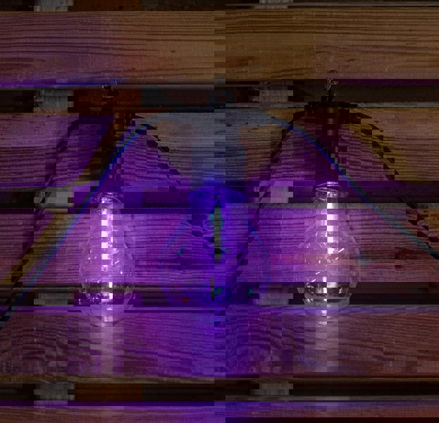 Samuel Alexander Set of 20 Indoor Outdoor Connectable Festoon Lights with Multi-Coloured LEDs