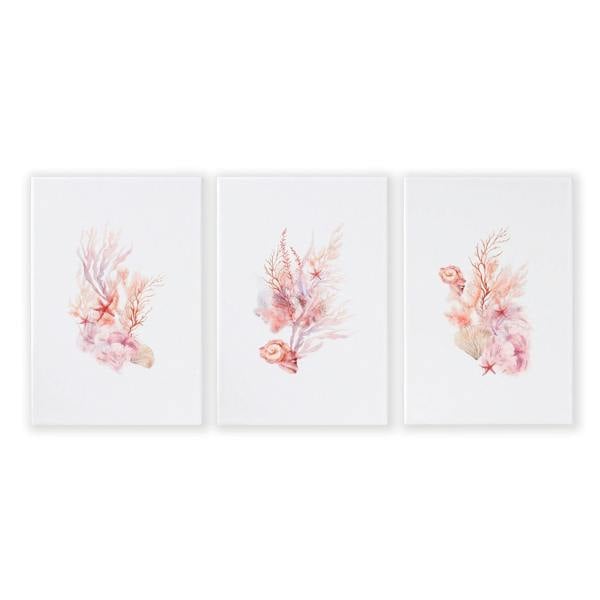 Large Paintings For Wall | Set of 3 Seashells Wall art Prints