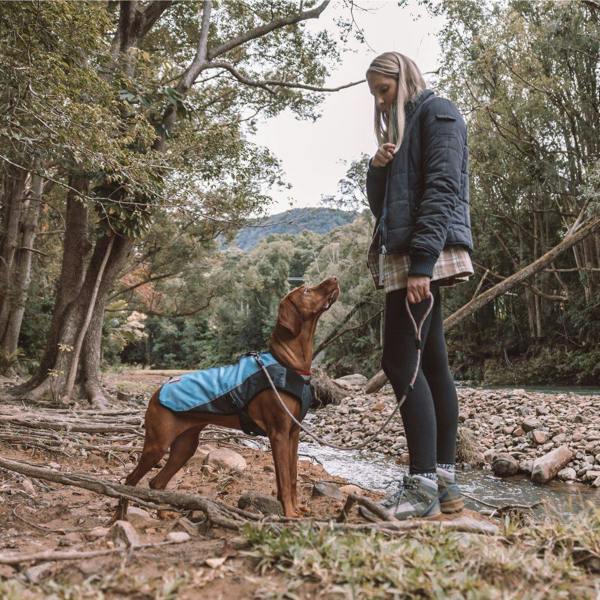 EzyDog Element Jacket in Blue