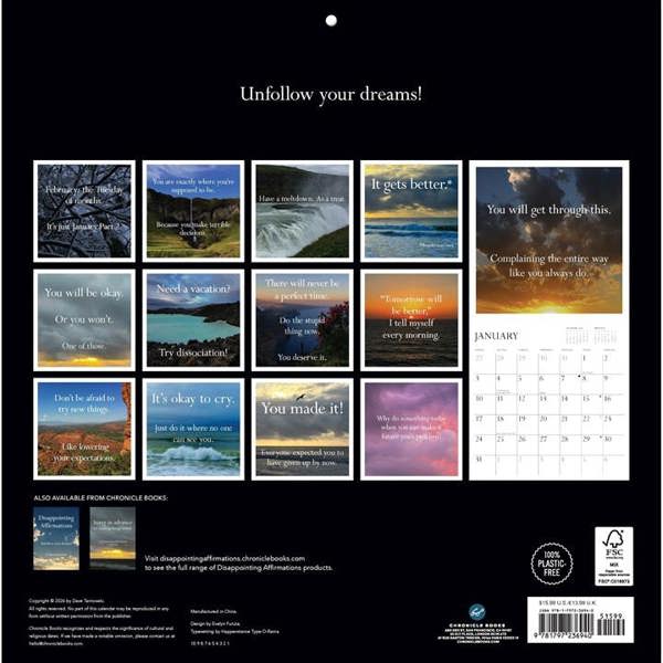Chronicle Books Disappointing Affirmations Calendar 2027, Wall Calendars, Month To View, Humour, Gift
