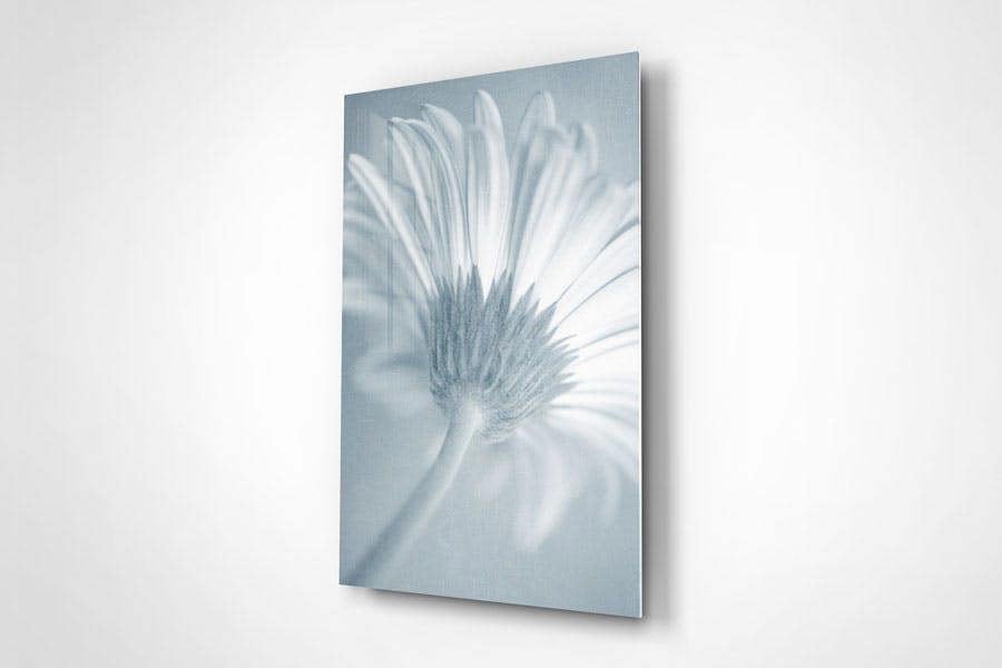 plant wall art framed