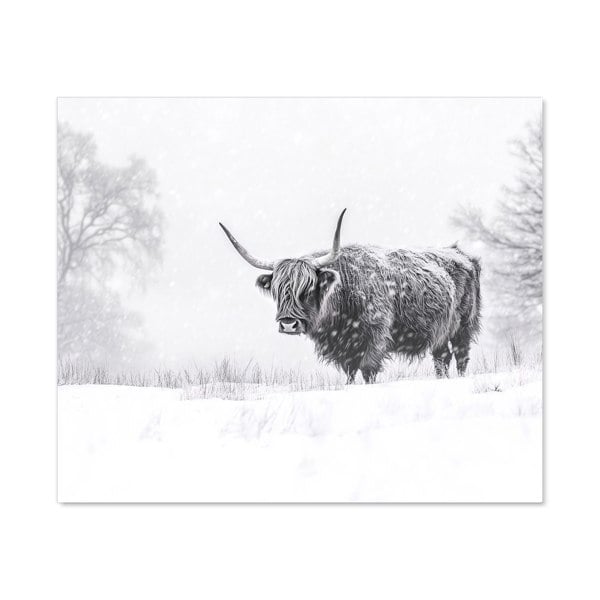 Warren Reed - Designer Snowy Black And White Highland Cow Kitchen Splashback