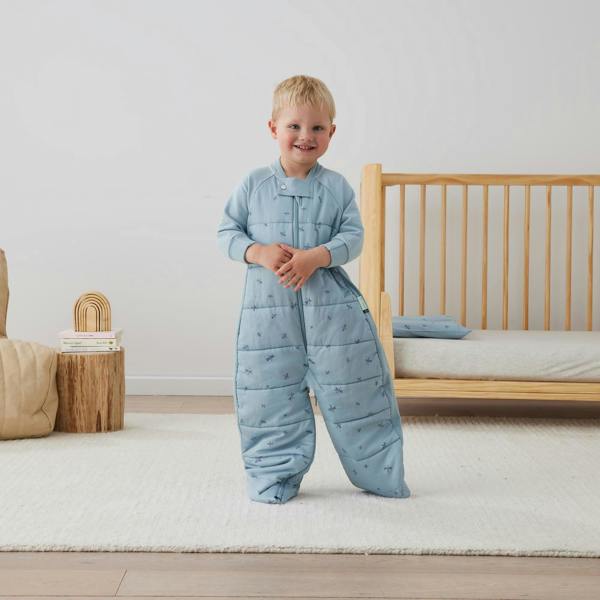 ergoPouch - Organic Winter Long Sleeved 2 in 1 Sleeping Suit Bag - Dragonflies - 3.5 TOG