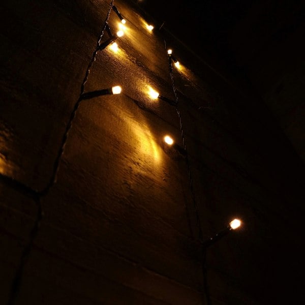Samuel Alexander 24 LED 2.3m Premier Christmas Indoor Outdoor Multi Function Battery Operated String Lights with Timer in Vintage Gold