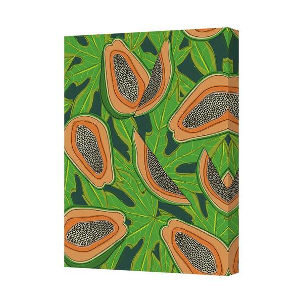 Benjamin Tate Design Contemporary Botanical Papaya Fruit Canvas Art Print Gallery Style Deep Frame