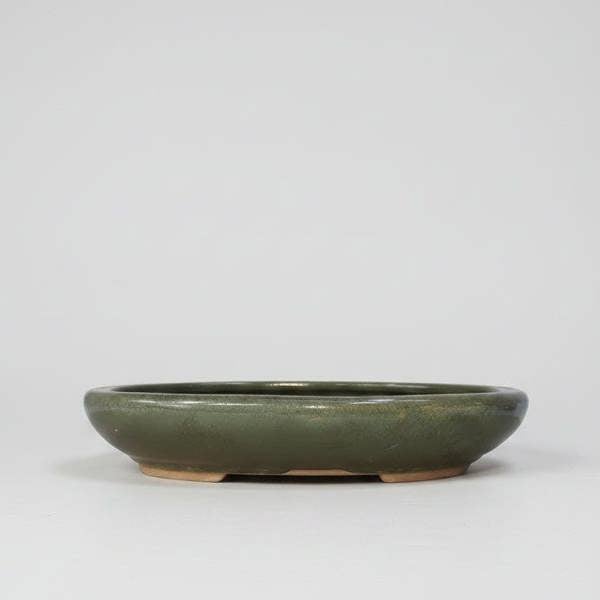 25cm Glazed Bonsai Pot | Oval | 25cm x 18cm x 4.5cm | Green - Yorkshire Bonsai