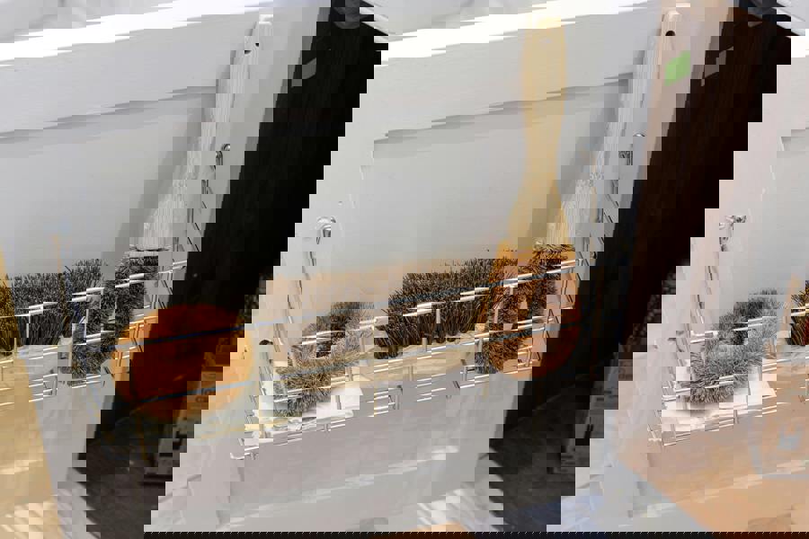 Natural Elements 3-Piece Eco-Friendly Coconut Fibre Brush Set