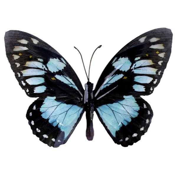 Garden Butterfly Wall Ornaments Bright Coloured Metal Butterflies 5 Colours Available (Black & Light Blue)