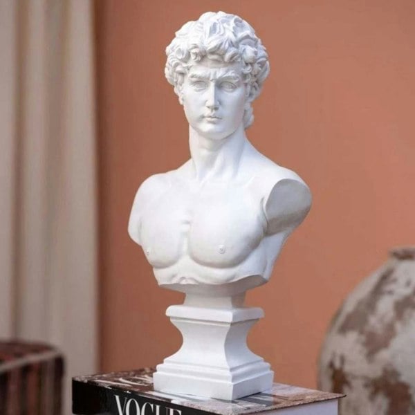 Artchi Michelangelo’s David Bust