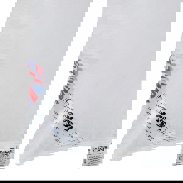 HOMESCAPES Goose Feather and Down Camomile Pillow with Dried Camomile Insert Extra Fill