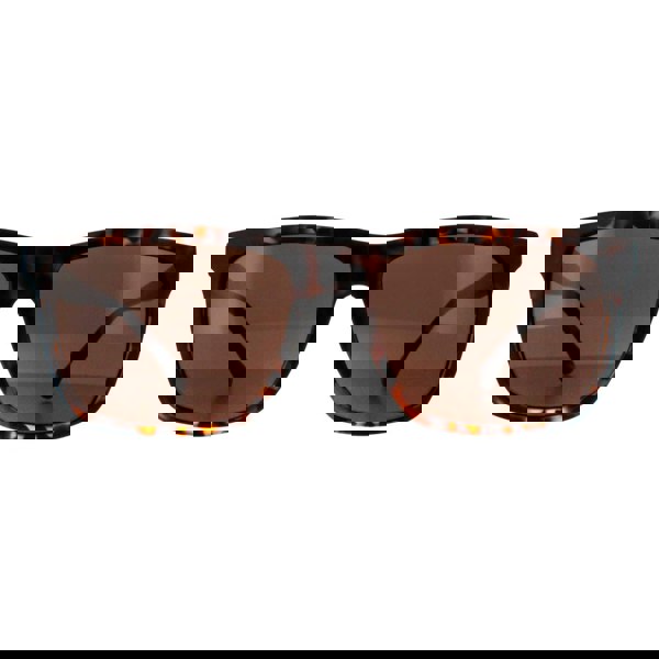 Smarty Sunglasses SB2201 B Tortoise Brown Brown