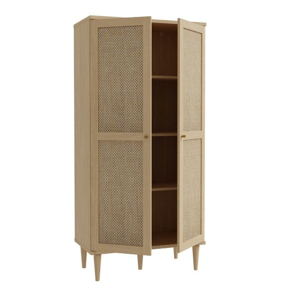 Wyld Haus Mallowmoss Rattan and Wood 2 Door Display Cabinet