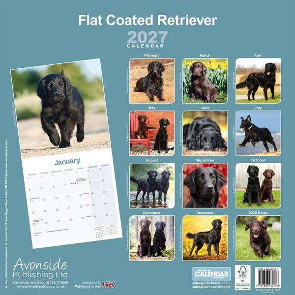 Flat Coated Retriever Calendar 2027, Wall Calendars, Month To View, Dogs, Gift