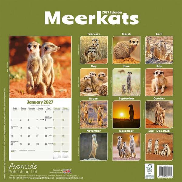 Meerkats Calendar 2027, Wall Calendars, Month To View, Animals, Gift
