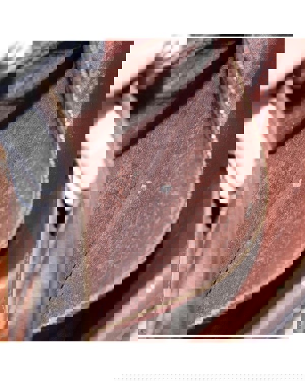 193970931.jpg