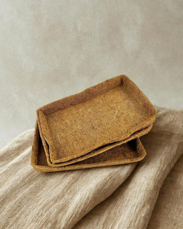 CoirProducts Coir Trays | Premium Biodegradable Coir Seedling & Propagation Trays