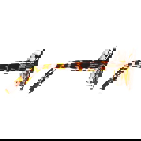 Barbour Sunglasses 3070 102 Havana Brown