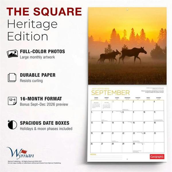 Moose Calendar 2027, Wall Calendars, Month To View, Animals, Gift