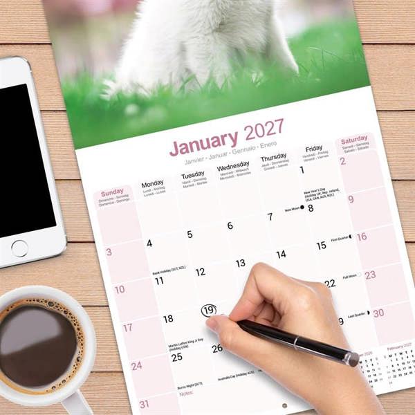 White Shepherd Calendar 2027, Wall Calendars, Month To View, Dogs, Gift