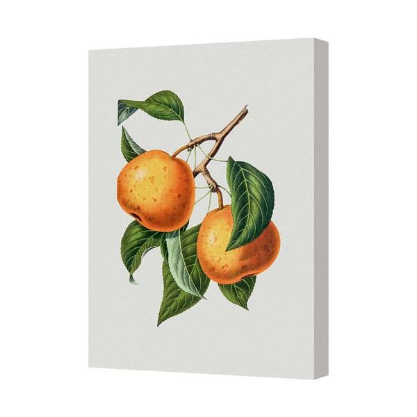 Benjamin Tate Design Handmade In The United Kingdom Contemporary Orange Fruit Canvas Print