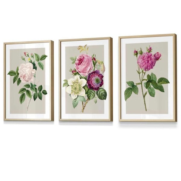 Artze Wall Art Vintage Pink and White Roses Set of 3 Framed Prints