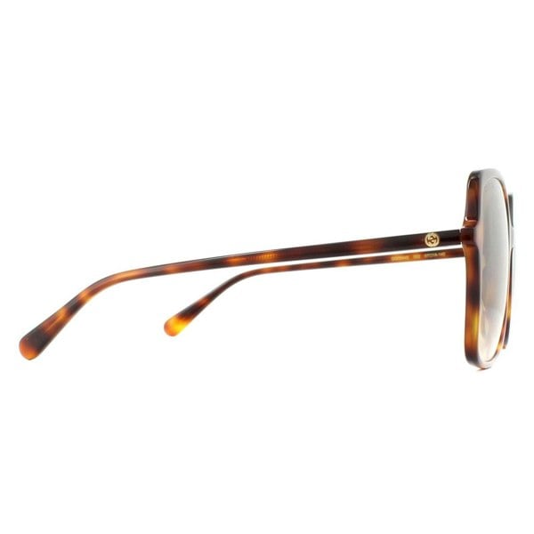 Gucci Sunglasses GG0544S 002 Havana Brown Gradient