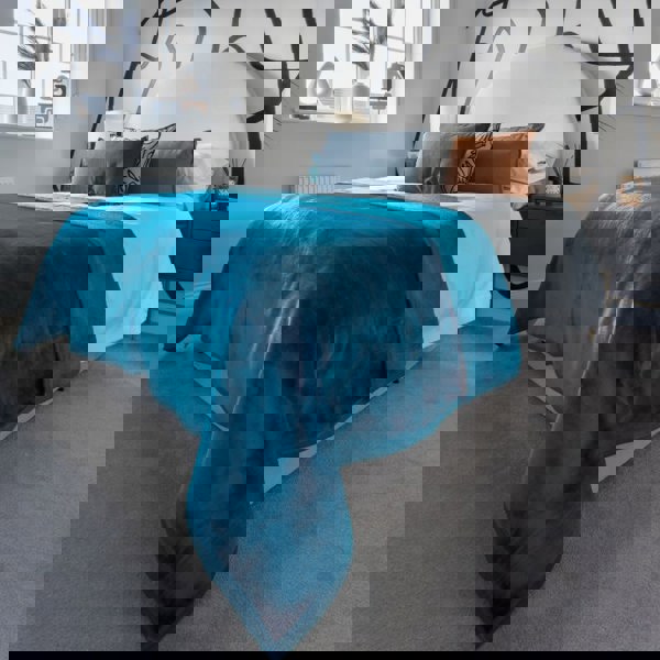 Snug City Soft & Warm Mink Throw Blanket