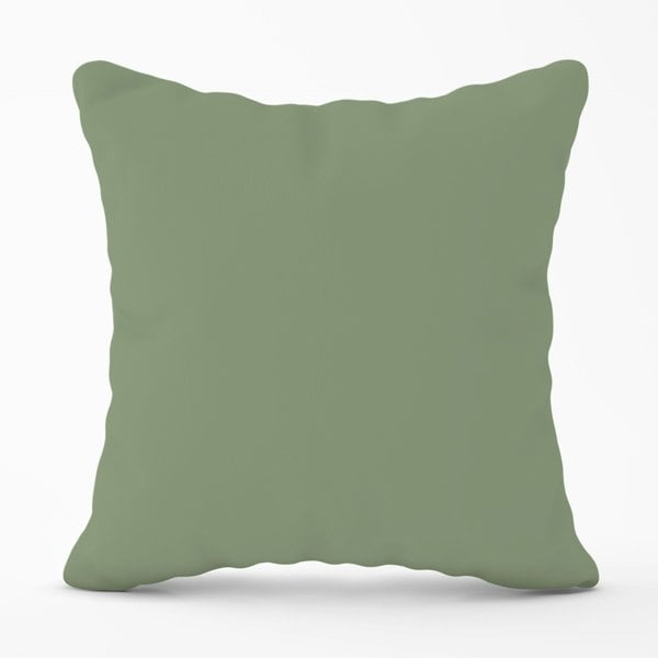 Warren Reed Sage Green Cushions