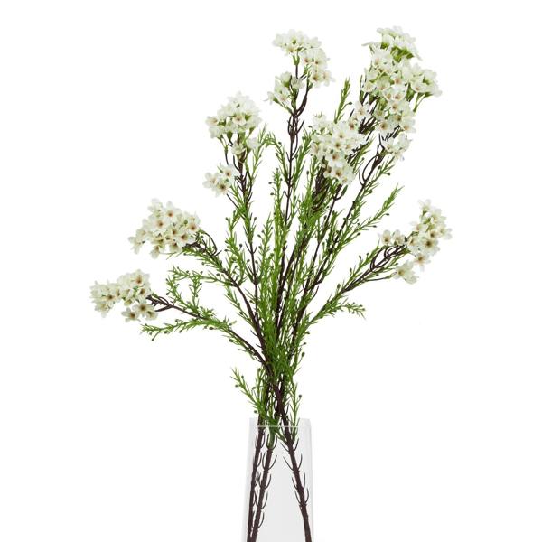 Wyld Haus Set of 3 Artificial Flowers White Waxflower Stems