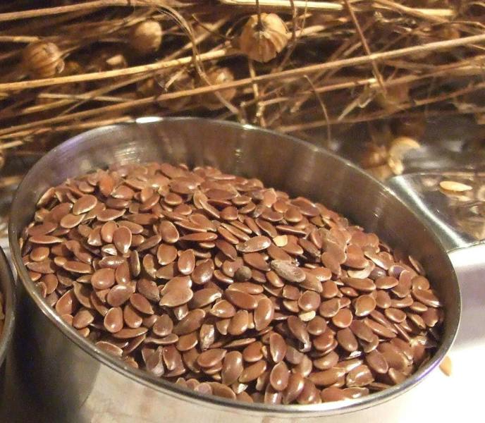 big-bronze flaxseeds