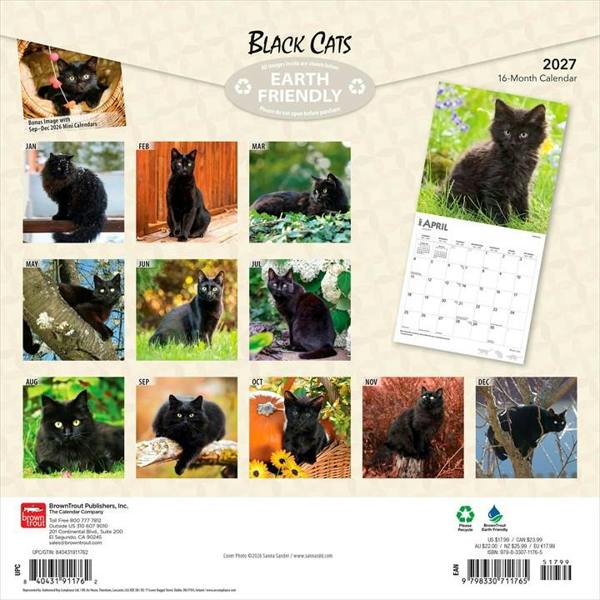 Black Cats Calendar 2027, Wall Calendars, Month To View, Cats, Gift