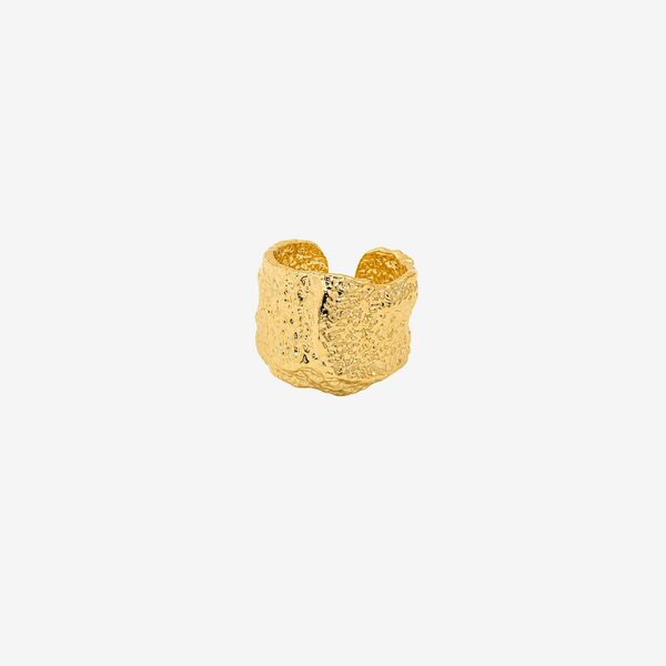 Uchi & Soto Kin Molten Gold Ring