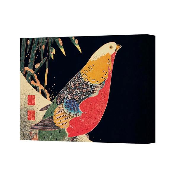 Benjamin Tate Design Canvas Art Print Colorful Parrot On Dark Navy Background 4467