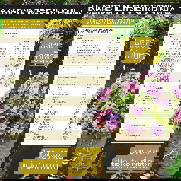 Bronte Heritage Hydrangea Feed – Controlled-release 120g granules for borders, pots & containers, Strong stems, vibrant blooms & healthy growth