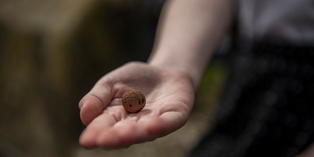 SEEDBALL Make Your Own Bee & Butterfly Friendly Wildflower Seed Balls Kit