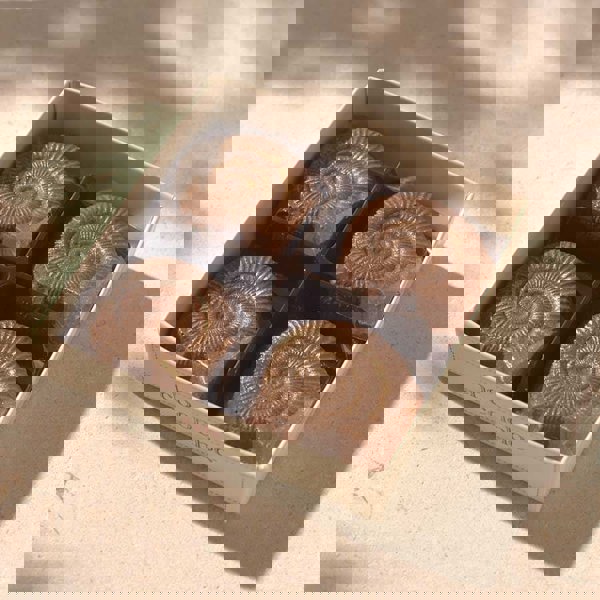 CHOC ON CHOC Chocolate Fossils